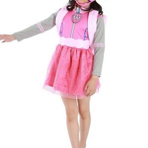 Paw Patrol Sky Costume